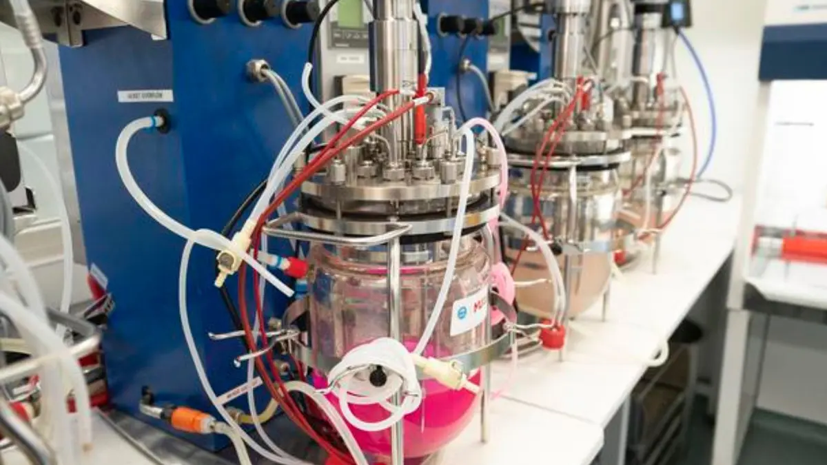 Ilmuwan Australia Ciptakan Plastik Ramah Lingkungan dari Mikroba Lokal